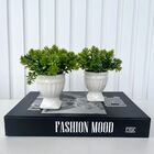 Decoração Sala Livro Fake + Dupla Vaso Branco Taça Athenas