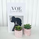 Decoração Sala Livro Fake + Dupla Vaso Cachepô Rosa Decor