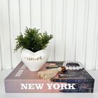 Decoração Sala Livro Fake + Vaso Coração + Colar Japamala