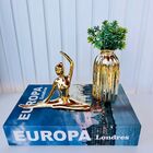Decoração Sala Livro Fake + Vaso Dourado + Enfeite Mulher