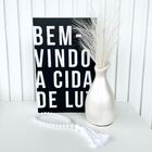 Decoração Sala Livro Fake + Vaso Garrafa + Enfeite Colar