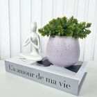 Decoração Sala Livro Fake + Vaso Lilás + Mulher Meditando