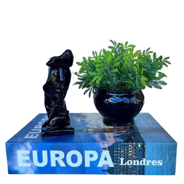 Decoração Sala Livro Fake + Vaso Preto + Escultura Rosto