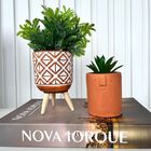 Decoração Sala Livro Fake + Vaso Tripé + Vaso Rosto Decor