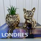 Decoração Sala Quarto Livro + Enfeite Bulldog + Vaso Abacaxi