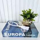 Decoração Sala Quarto Livro + Vaso Cachepô + Enfeite Colar