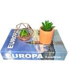 Decoração Sala Quarto Livro + Vaso Cachepot + Enfeite Metal