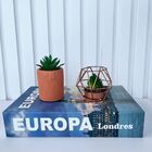 Decoração Sala Quarto Livro + Vaso Cachepot + Enfeite Metal