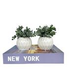 Decoração Sala Quarto Livro Caixa Azul + Dupla Vaso Branco