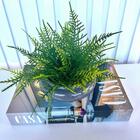 Decoração Sala Quarto Livro Casa + Vaso Ikebana Cinza