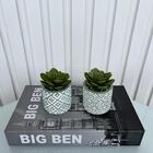 Decoração Sala Quarto Livro Cinza + Dois Mini Vasos Verde