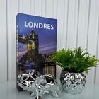 Decoração Sala Quarto Livro Fake + Enfeite Elefante + Vaso