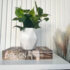 Decoração Sala Quarto Livro Fake + Vaso Bojo Branco Decor