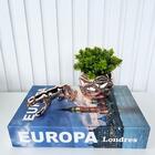 Decoração Sala Quarto Livro Fake + Vaso Rose + Enfeite Onça