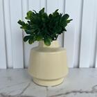Decoração Sala Quarto Vaso Cachepot Creme Moderno Cerâmico