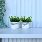 Decoração Sala Rack Dupla Vaso Cachepot Branco Corda Laço