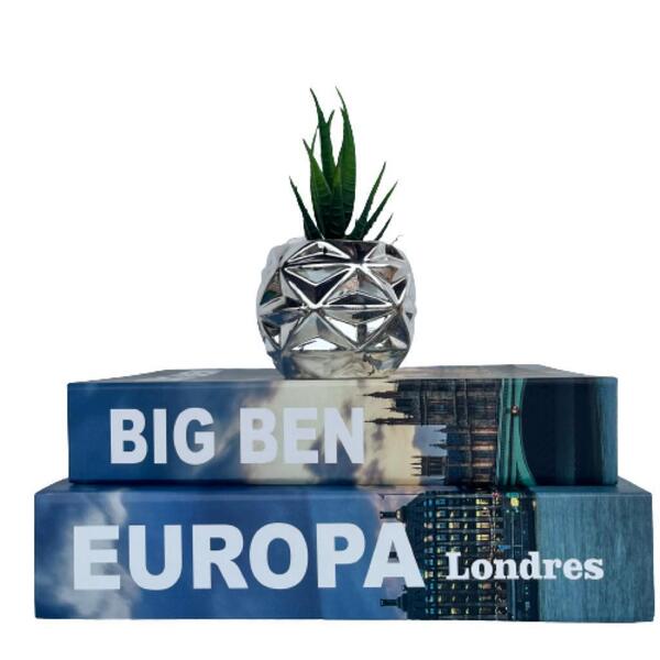 Decoração Sala Rack Vaso Prata + Dois Livros Azul Viagens