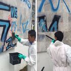 Deleta 2030 Pro - Removedor De Pichação E Tintas Pós Obra 1 L