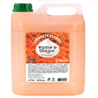 Deoline Pessego E Damasco - Sabonete Liquido - Premisse - 5 L