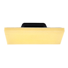 Desempenadeira Plástico com Espuma 17x30cm Momfort