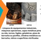 Desengordurante Desincrustante Industrial