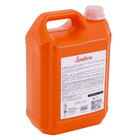 Desifetante Lysoform 5l Bruto