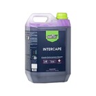 Desincrustante Ácido Intercape 5 Litros Nobrecar