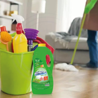 Desinfetante Capim Limão 2l - Guimarães