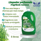 Desinfetante Guimarães 5l Bamboo