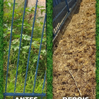 Desmat 250ml - Mata Mato + Herbicida Não Seletivo Dexter Glis