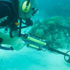 Detector De Metais Excalibur Ii