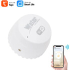 Detector Sensor De Vazamento De Água Alexa Google C Bateria