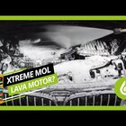 Detergente Desengraxante Xtreme Mol 500ml Protelim