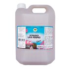 Detergente Lava Roupas Coco 5 Litros -
