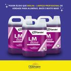 Detergente Lm Base 5l - Sandet