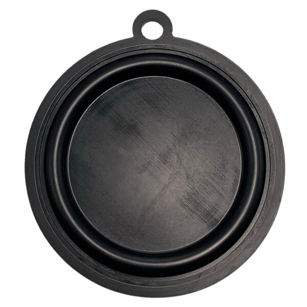 Diafragma Membrana Aquecedor Lorenzetti L8 Lz900 Lz800fb D54