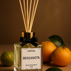 Difusor Ambiente Classic Vidro Varetas Madeira 100ml Premium