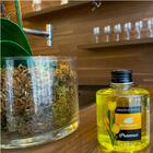 Difusor Aroma Essência 270ml Perfume Aromatizante Fragrância