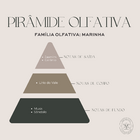 Difusor de Ambiente Aromatizador Brisa Do Mar 200ml - Essence