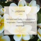 Difusor De Ambiente Jasmim 200ml