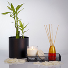 Difusor de Aromas Sensações Sensual Óleos Essenciais 100ml Secar