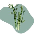 Difusor De Varetas Aromatizador De Ambientes Bamboo 250ml - W