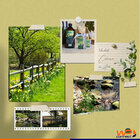 Difusor De Varetas Para Aromas Campos De Cima Da Serra 250ml