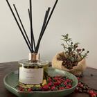 Difusor Elegance - Café Verde 250ml