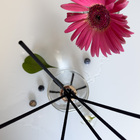 Difusor - Magnolia Pacifica 250ml