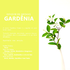 Difusor Para Ambientes 250ml Gardenia Flower