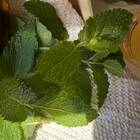 Difusor Terapêutico - Peppermint 250ml