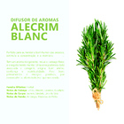 Difusor Varetas Alecrim Blanc 250ml
