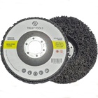 Disco De Limpeza 115mm