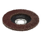 Disco Flap 115mm Grão 25 MTX